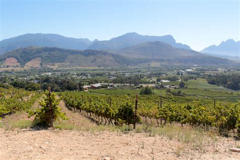 5 Things to Know About Visiting The Franschhoek Wine Valley - Park Chasers