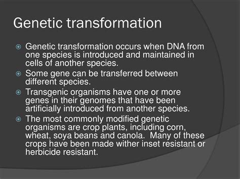 PPT - Manipulating DNA: Tools & Techniques PowerPoint Presentation - ID ...