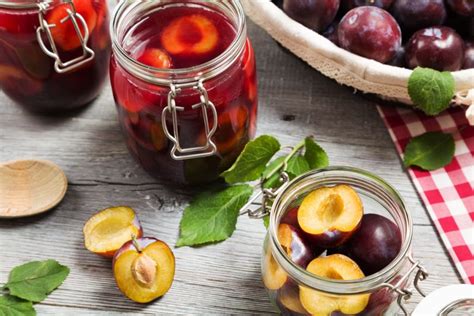 Preserving Fresh Plums and Canning Plums Recipe