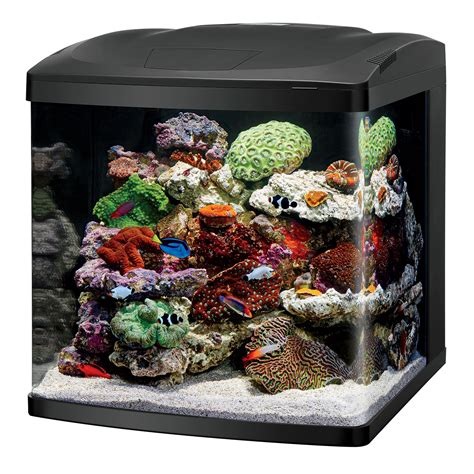 Coralife LED Biocube Aquarium LED | Petco