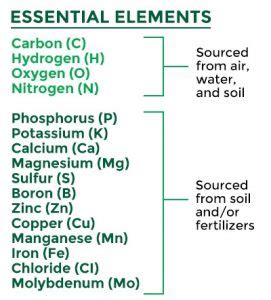 Trace Elements in Soil and Plants | 18 Essential Nutrients