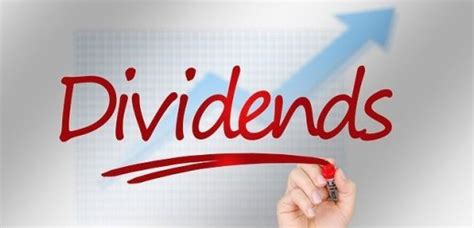 Best Vanguard Dividend ETFs - Dividends Diversify