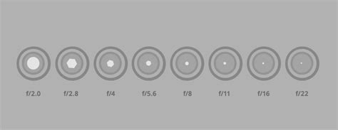 Aperture in Photography Defined | B&H Explora