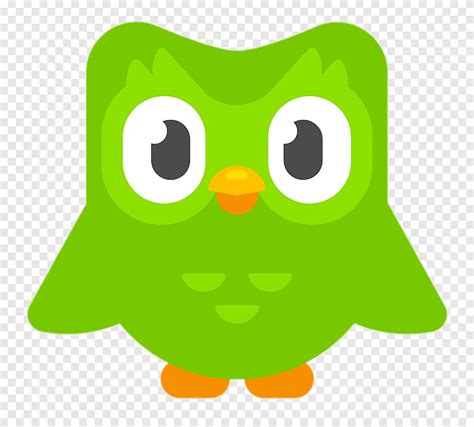 Free download | Duolingo logo thumbnail, tech companies, png | PNGEgg