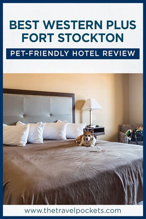 Excellent Pet-Friendly Hotel at Best Western Plus Fort Stockton in ...