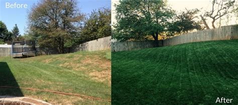 A lawn Before and After applying Milorganite fertiizer. | Fall lawn ...