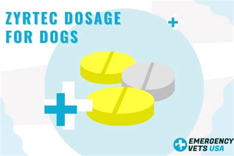 Can I Give Zyrtec To My Dog? Zyrtec Dosage Calculation & Alternatives