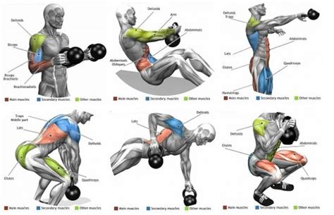 6 Kettlebell Exercises To Burn Fat & Get Ripped - GymGuider.com