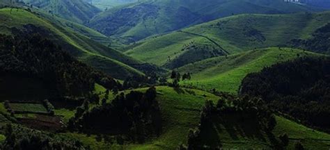 Amazing Facts About Bwindi Impenetrable Forest | Bwindi Park