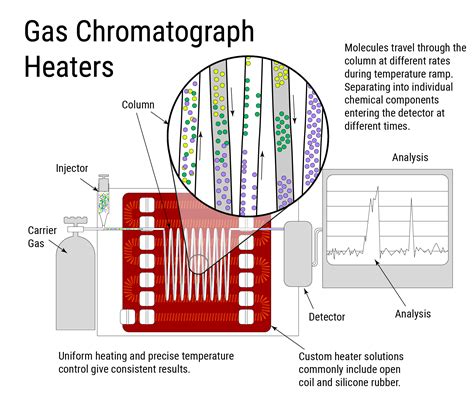 Diagram of a gas chromatograph - etclasopa