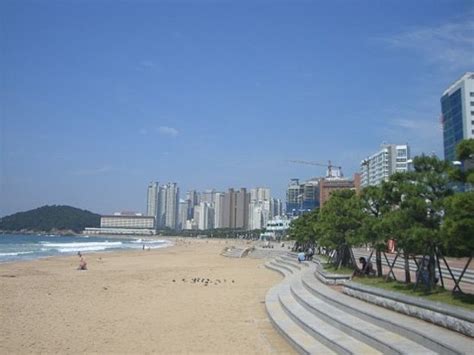 Haeundae Beach (Busan, South Korea): Top Tips Before You Go - TripAdvisor