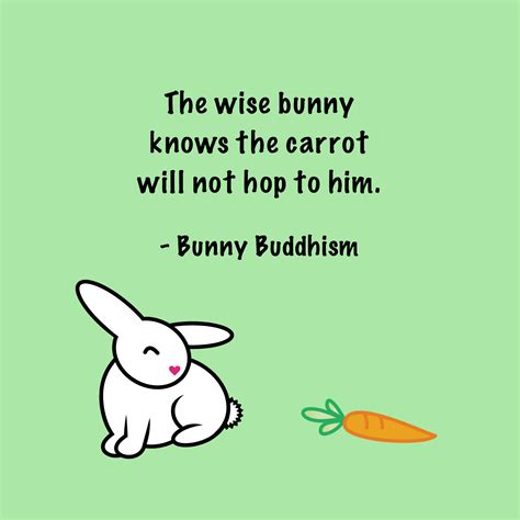 Pin on Bunny Wisdom