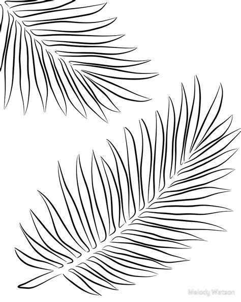 Minimal Palm Leaves Line Art Drawing Photographic Print by Melody Watson | Stencil wall art ...