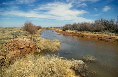 Chaves | Mexican Border, Agriculture, Ranching | Britannica