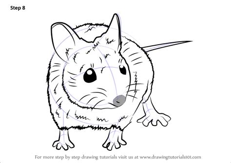 How to Draw a Wood Mouse (Rodents) Step by Step | DrawingTutorials101.com