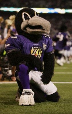 Pin by Madwild Spirit on NFL Mascots | Baltimore ravens football ...