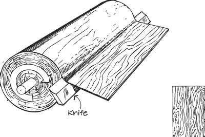 Veneer Slice Rotary | Veneers, Species, Male sketch