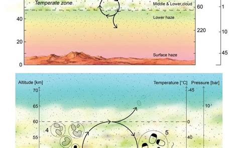 Could there be life in the cloudtops of Venus? Bizsiziz