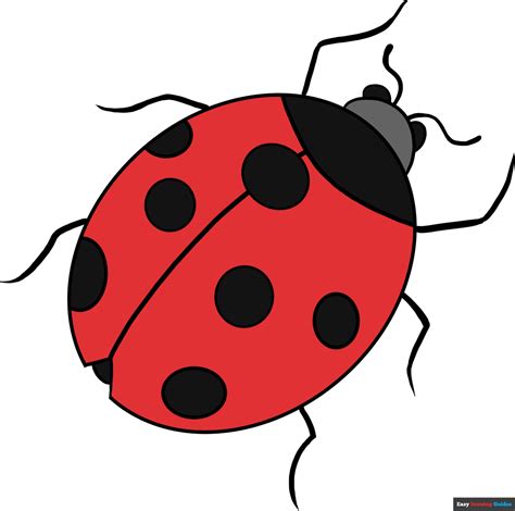 How to Draw a Ladybug - Really Easy Drawing Tutorial