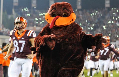 Hokie Bird: Virginia Tech's Mascot Is the Result of an Obscure 1896 ...