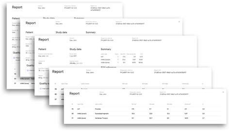 PYLARIFY® AI™ | Reporting PSMA PET/CT Imaging | PYLARIFY®