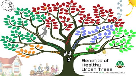 Benefits of Trees: 8 Ways Trees Kick Ass - Eco Tree Company