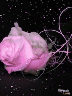 Pin by Carla Hinson on Pink Roses | Wallpaper, Pink roses, Screen savers