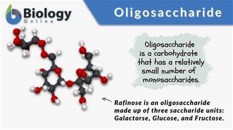 Oligosaccharide - Definition and Examples - Biology Online Dictionary