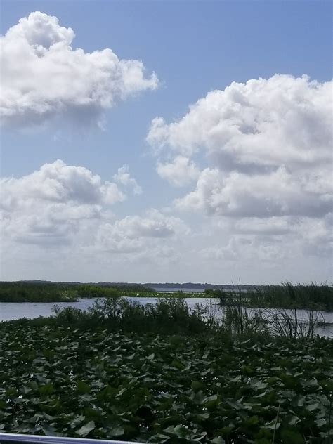 Wild Florida Airboat Tours - Inspiring Momma