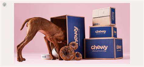 Chewy Review: The Top Online Store for Pet Lovers?