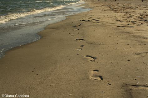 Black Sea Beaches Romania