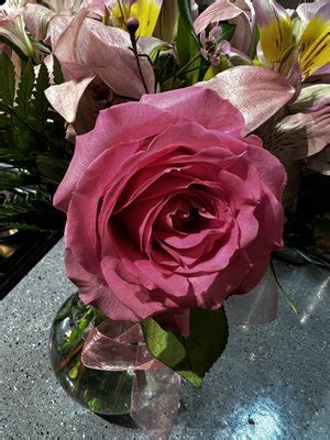 NORTH STAR FLORIST - Updated May 2024 - 49 Photos & 45 Reviews - 301 N ...