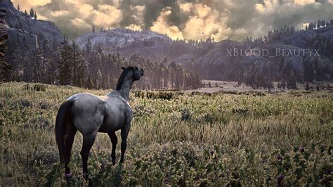 Sunset | Red redemption 2, Red dead redemption, Horses