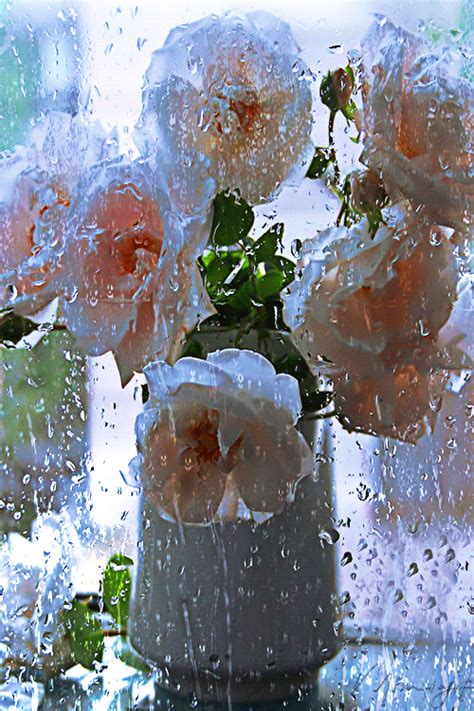 some flowers are sitting in a vase on the window sill, with water ...