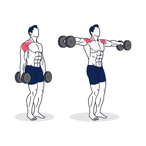 How To: Dumbbell Lateral Raise - Benefits & Exercise for Shoulders ...