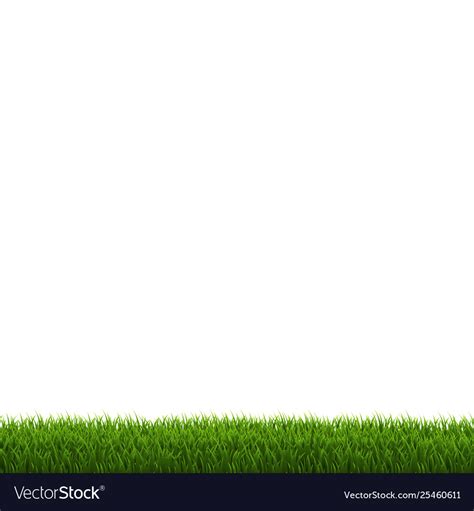 Grass Border SVG