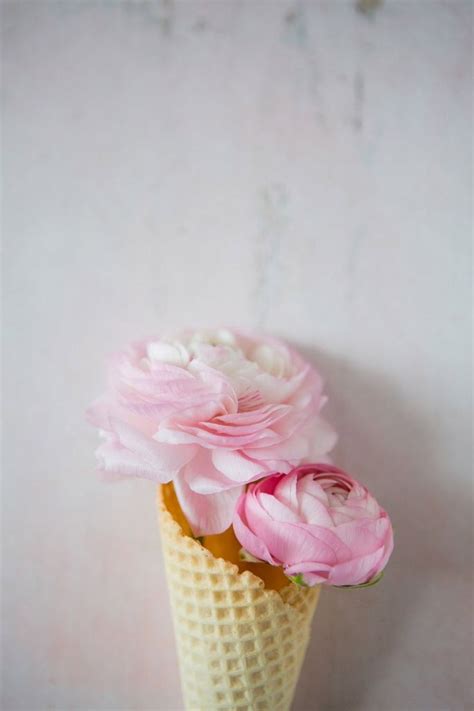 188 best ice cream cone flowers images on Pinterest | Waffle cones, Ice cream cones and ...