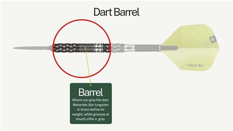 Dart Barrels 101: A Comprehensive Introduction