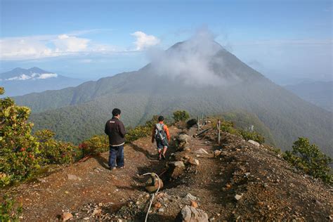 Wisata Jawa Barat - Taman Nasional Gunung Gede-Pangrango | traveljomi blog