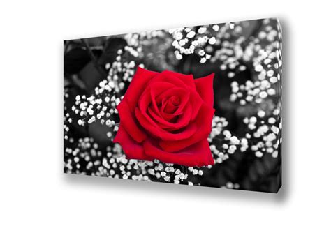 Red Rose Wall Art Canvas Gallery Wrap Flower Decor Large - Etsy