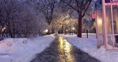 Look back and be happy. Ice Storm, Of Montreal, Glad, Beautiful Pictures, Make It Yourself ...