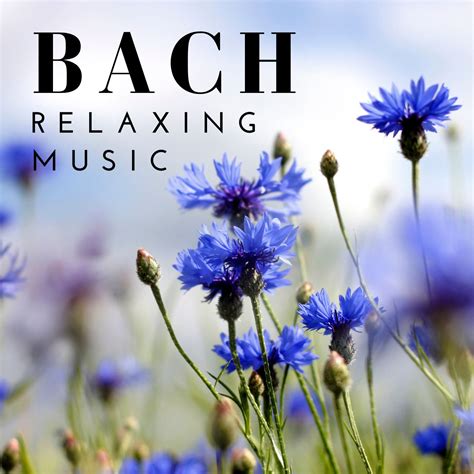 Bach - Classical Music for Relaxation - Halidon