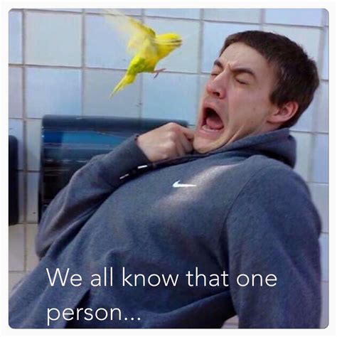 We all know that one person scared of birds hahaha | Bird meme, That ...