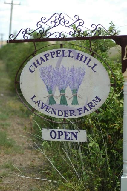 Chappell Hill Lavender Farm | Brittanie | Flickr