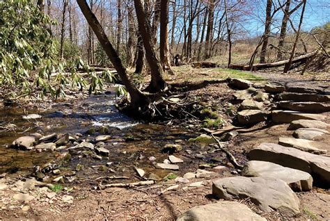 Mount Airy trail network a family-friendly hiking destination