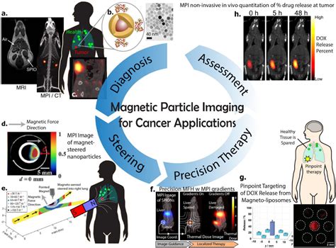 Figure 1 from Magnetic Particle Imaging: An Emerging Modality with Prospects in Diagnosis ...