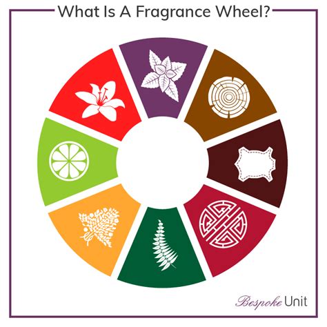 What Are Olfactive Families & Fragrance Wheels? Perfume Group Guide