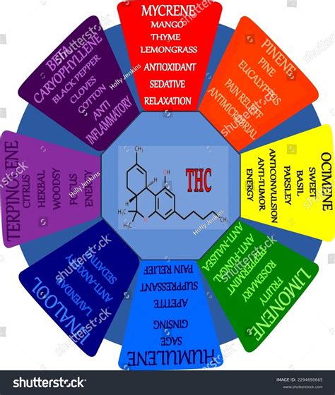 1 Terpene Wheel Images, Stock Photos, 3D objects, & Vectors | Shutterstock