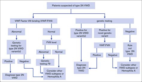 ASH ISTH NHF WFH 2021 guidelines on the diagnosis of von Willebrand disease. - Abstract - Europe PMC