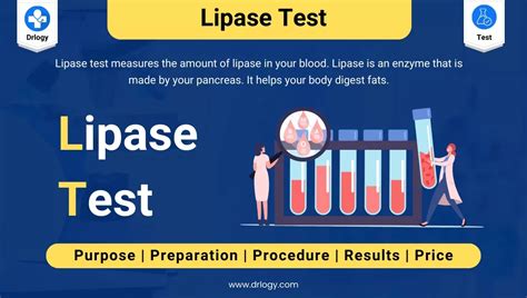 Lipase Test: Price, Normal Range & Results - Drlogy